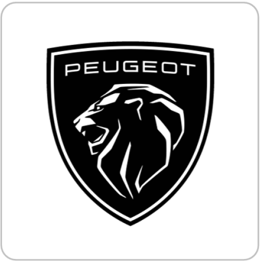 AUPASA Peugeot by Beycar