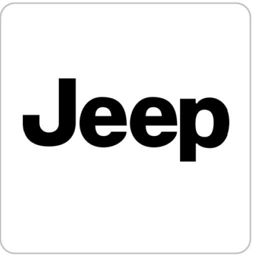 Jeep Alzira - Grupo Palacios