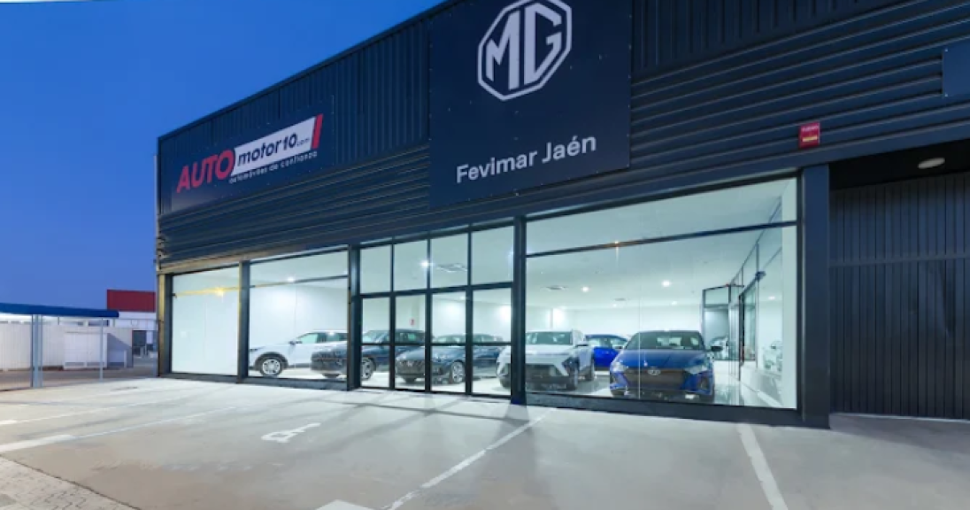 MG Fevimar Andújar - Grupo Angal