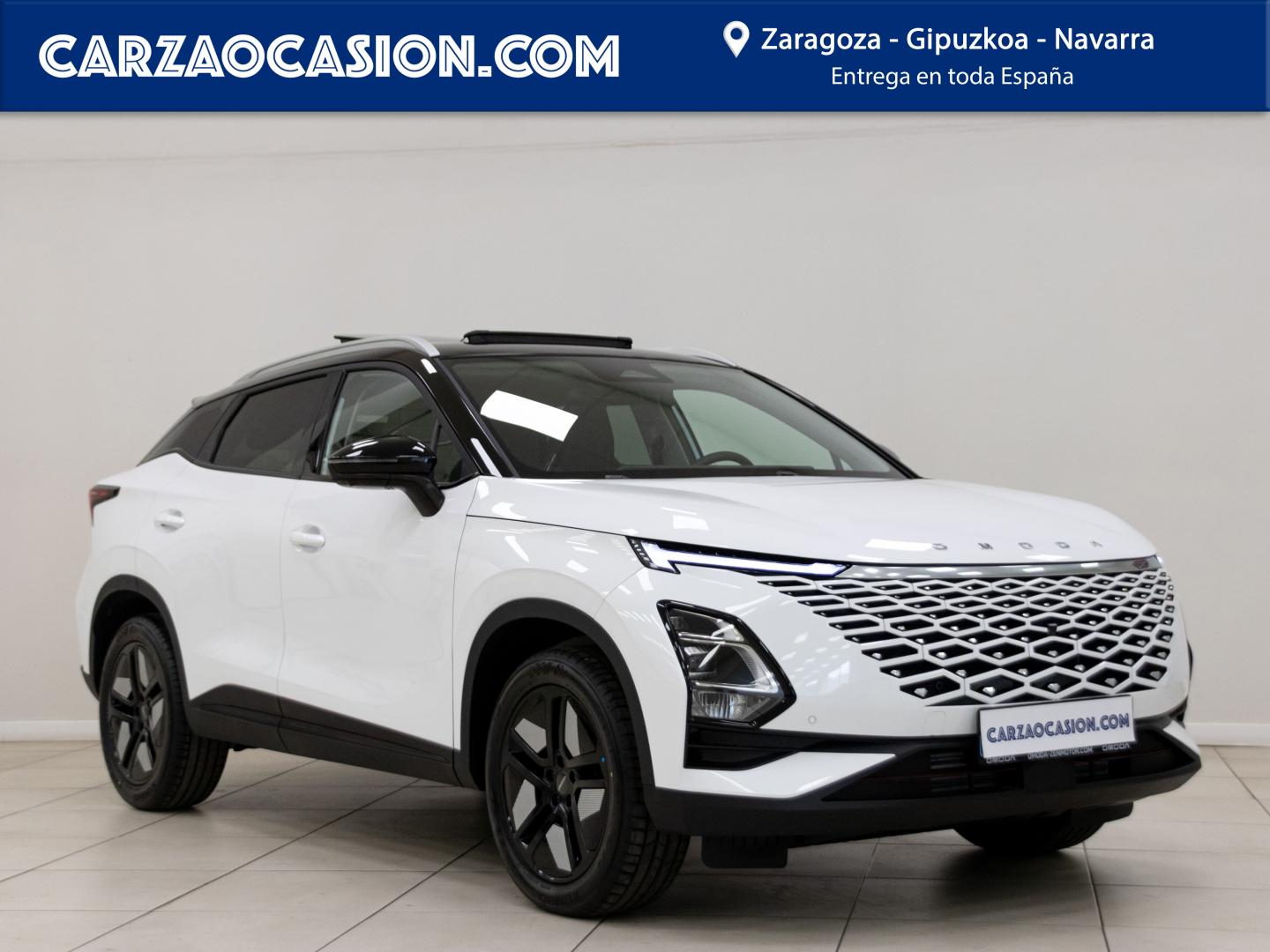 Carza Peugeot Zaragoza