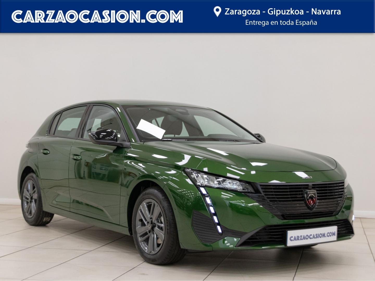 Carza Gipuzkoa Peugeot Taller
