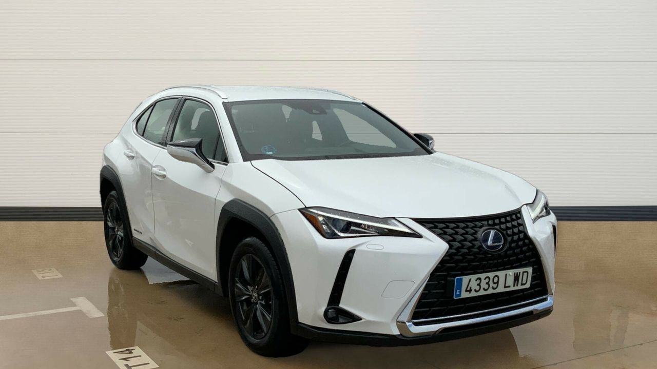 KIA Selikar Madrid - Leyva