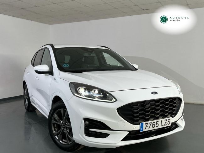 MG LevMotor - Palencia