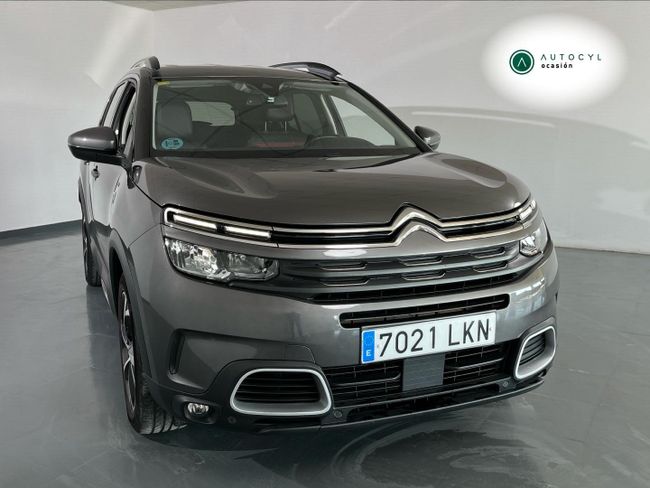 MG LevMotor - Palencia
