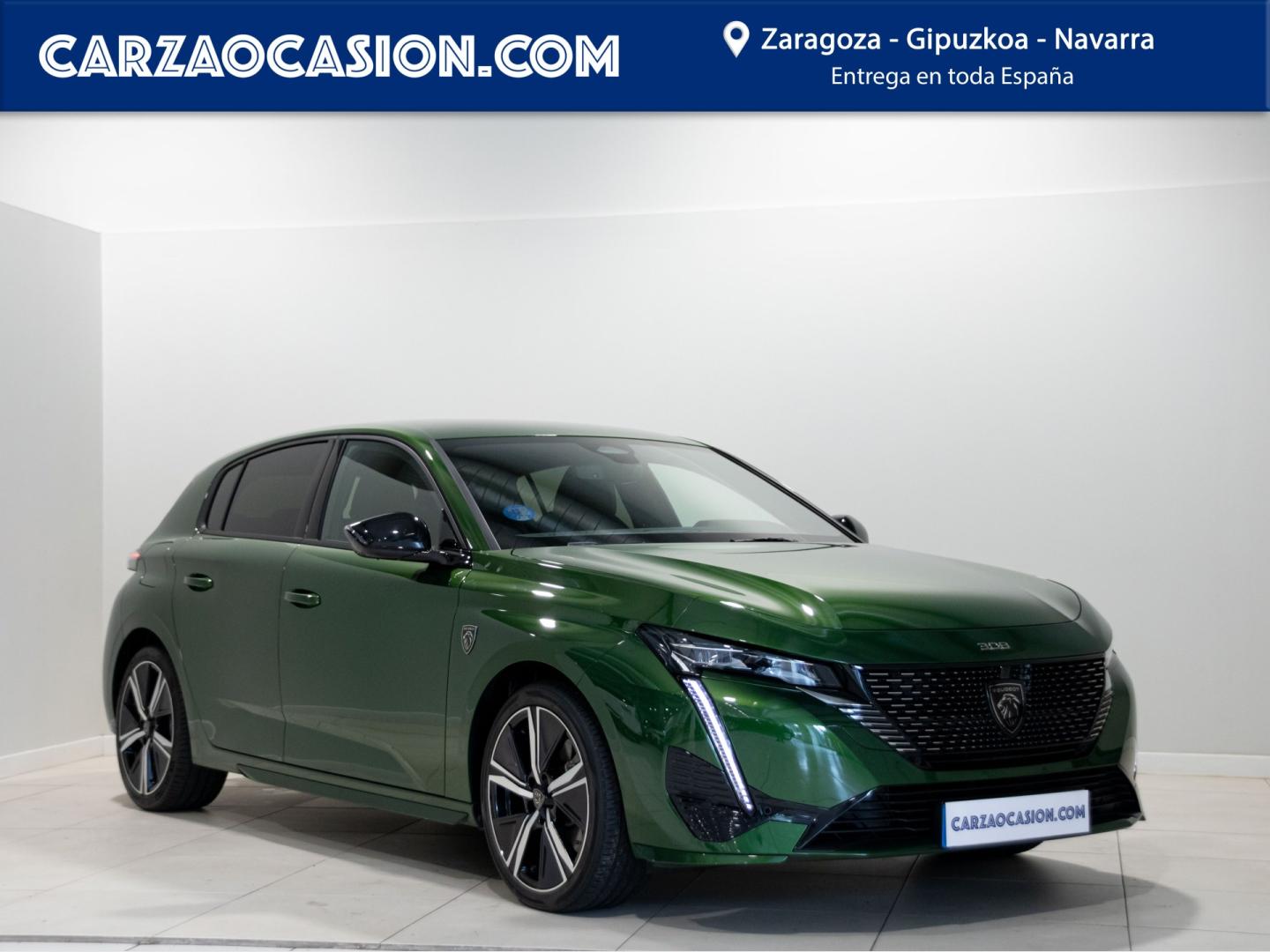 Peugeot Carza Gipuzkoa Motor