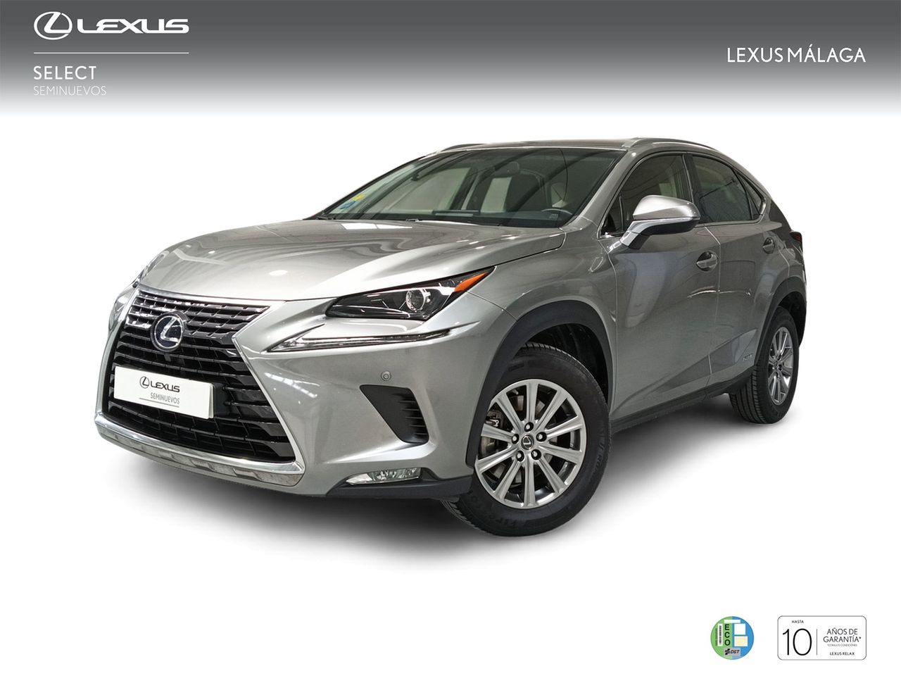 Lexus Marbella
