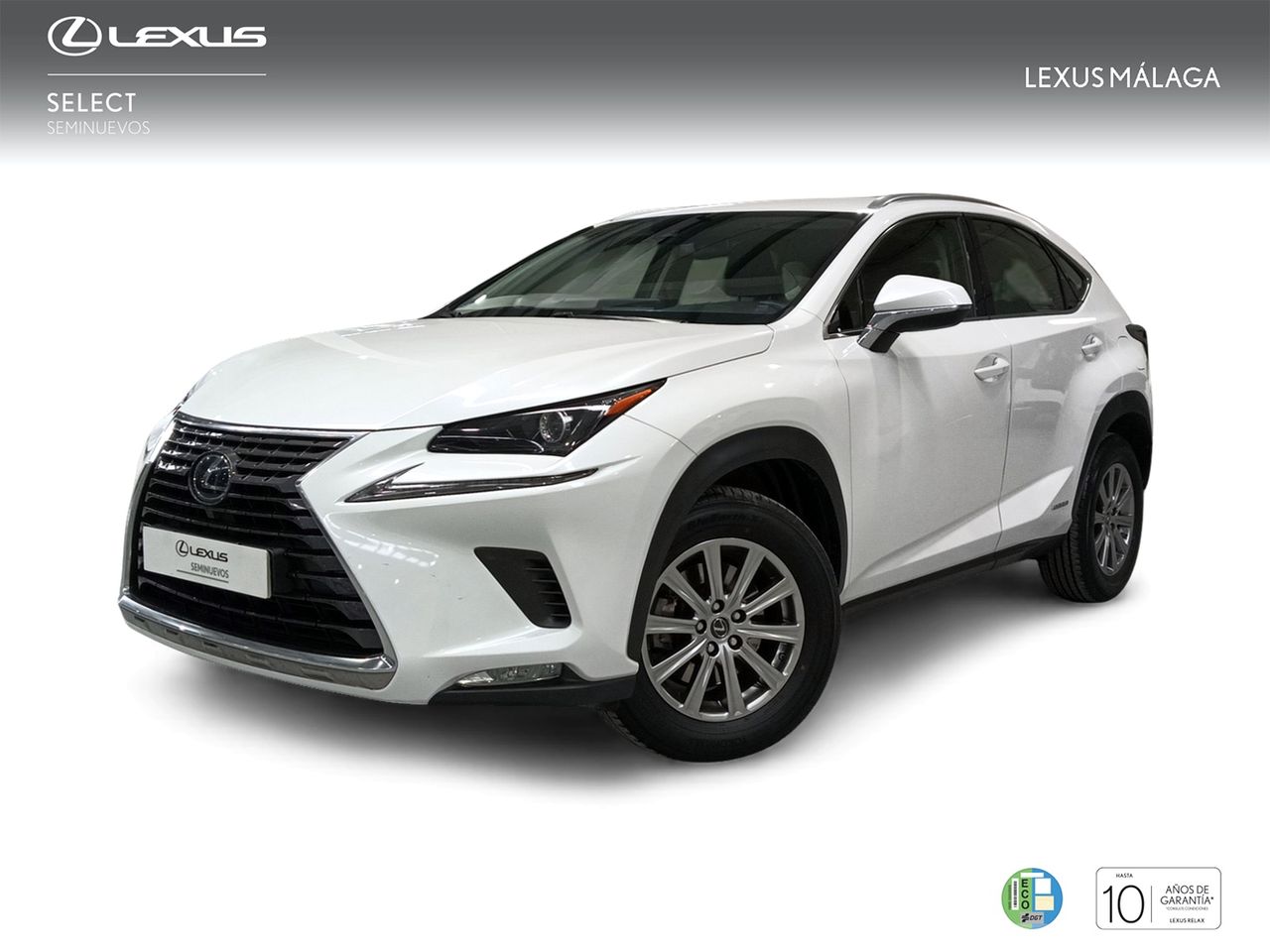 Toyota Cumaca Motor - Antequera