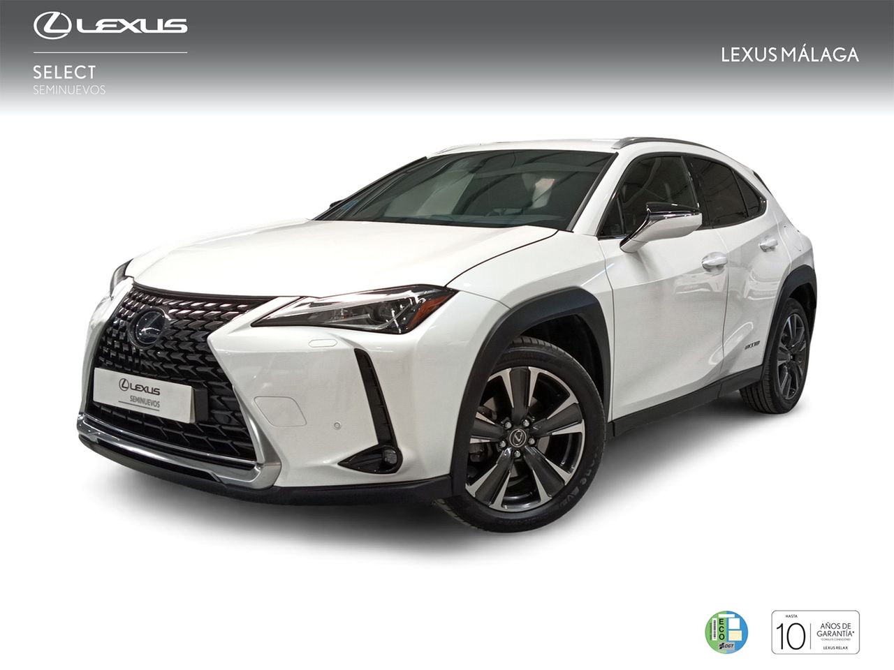Toyota Cumaca Motor - Antequera