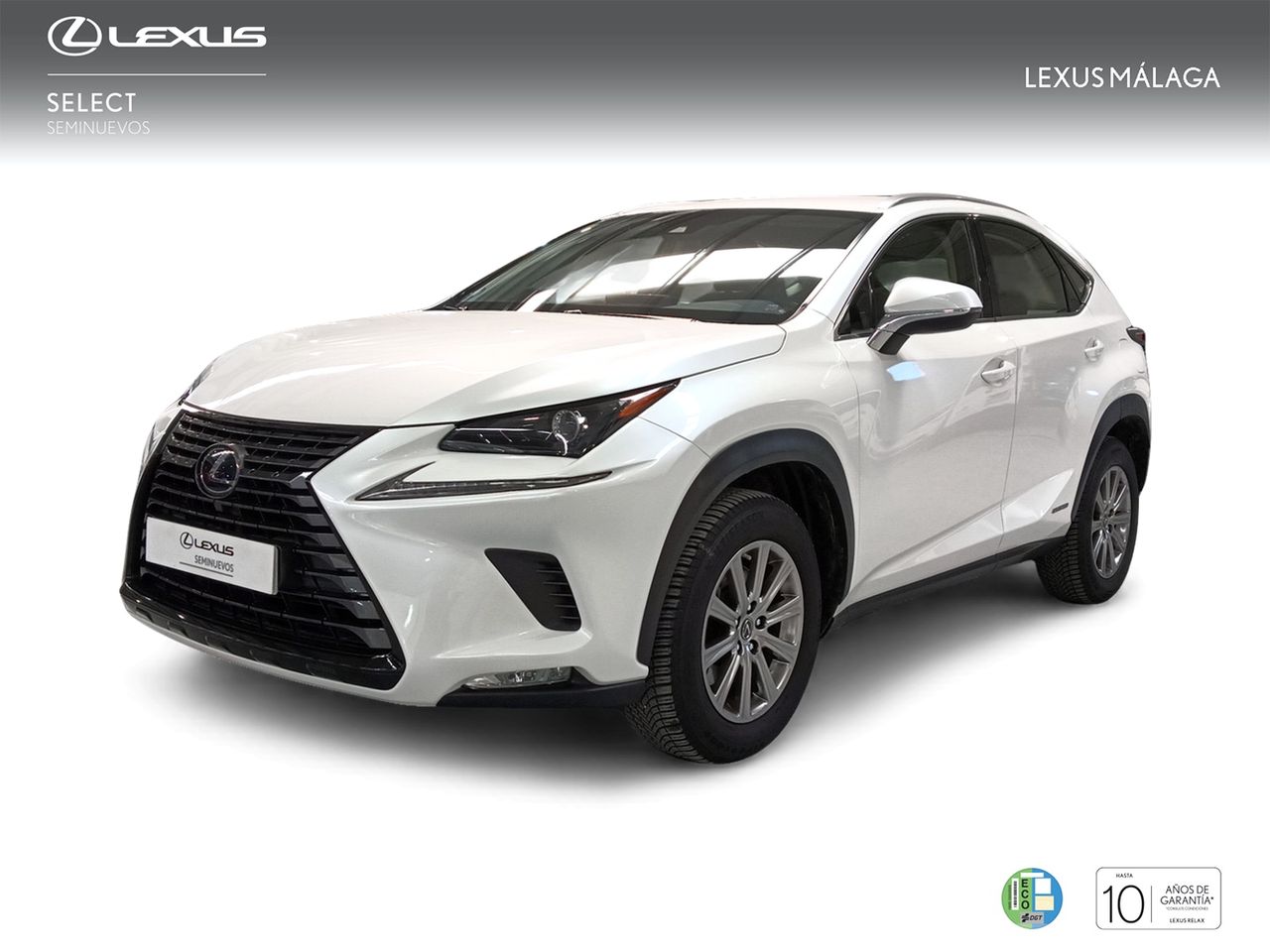 Lexus Marbella