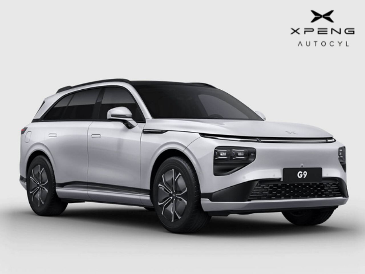 AUPASA Peugeot by Beycar