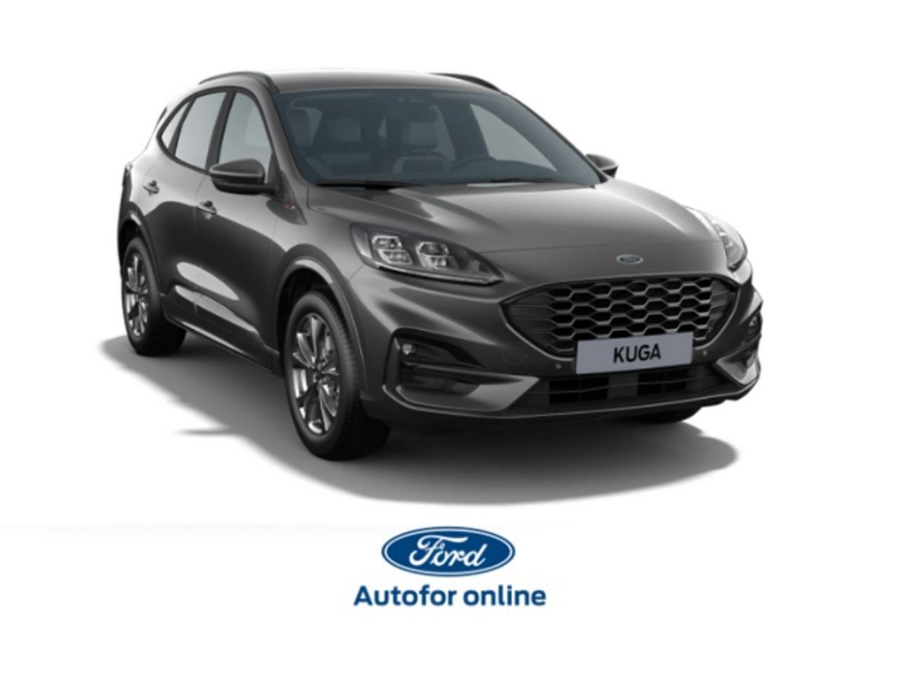 AUPASA Peugeot by Beycar