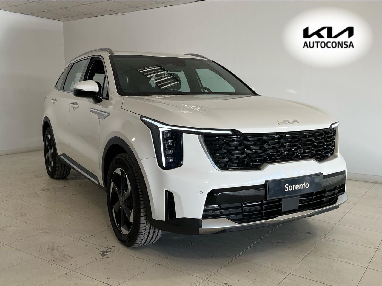 AUPASA Peugeot by Beycar