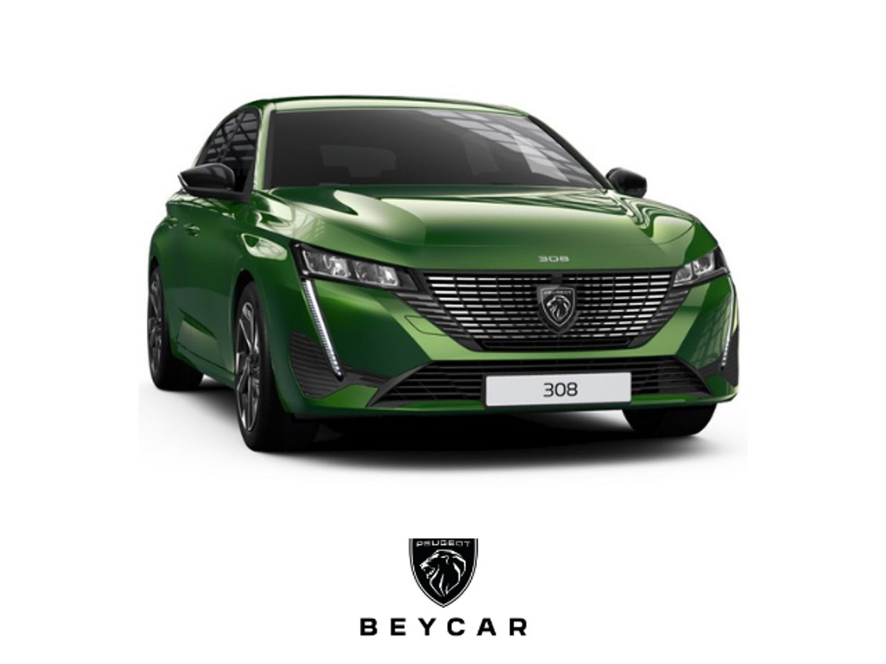 AUPASA Peugeot by Beycar