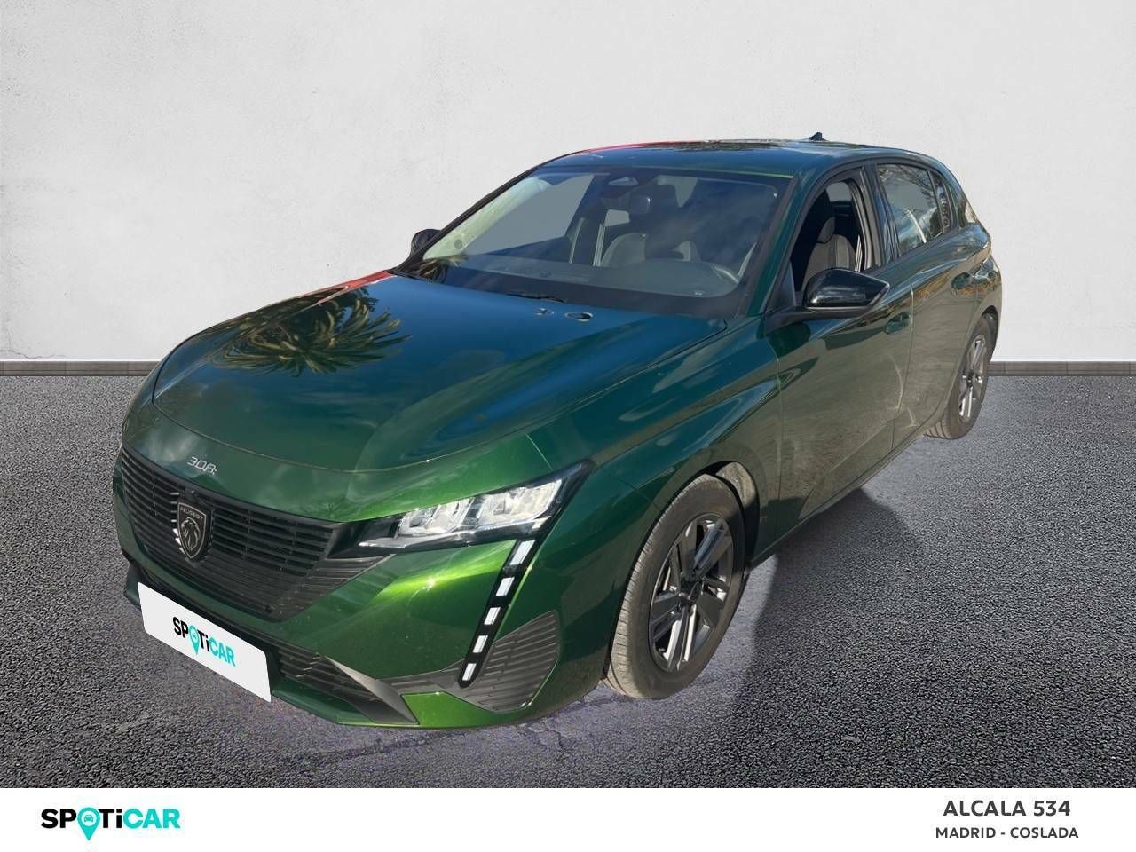 Peugeot Alcalá 534 Grupo - SATE - M30