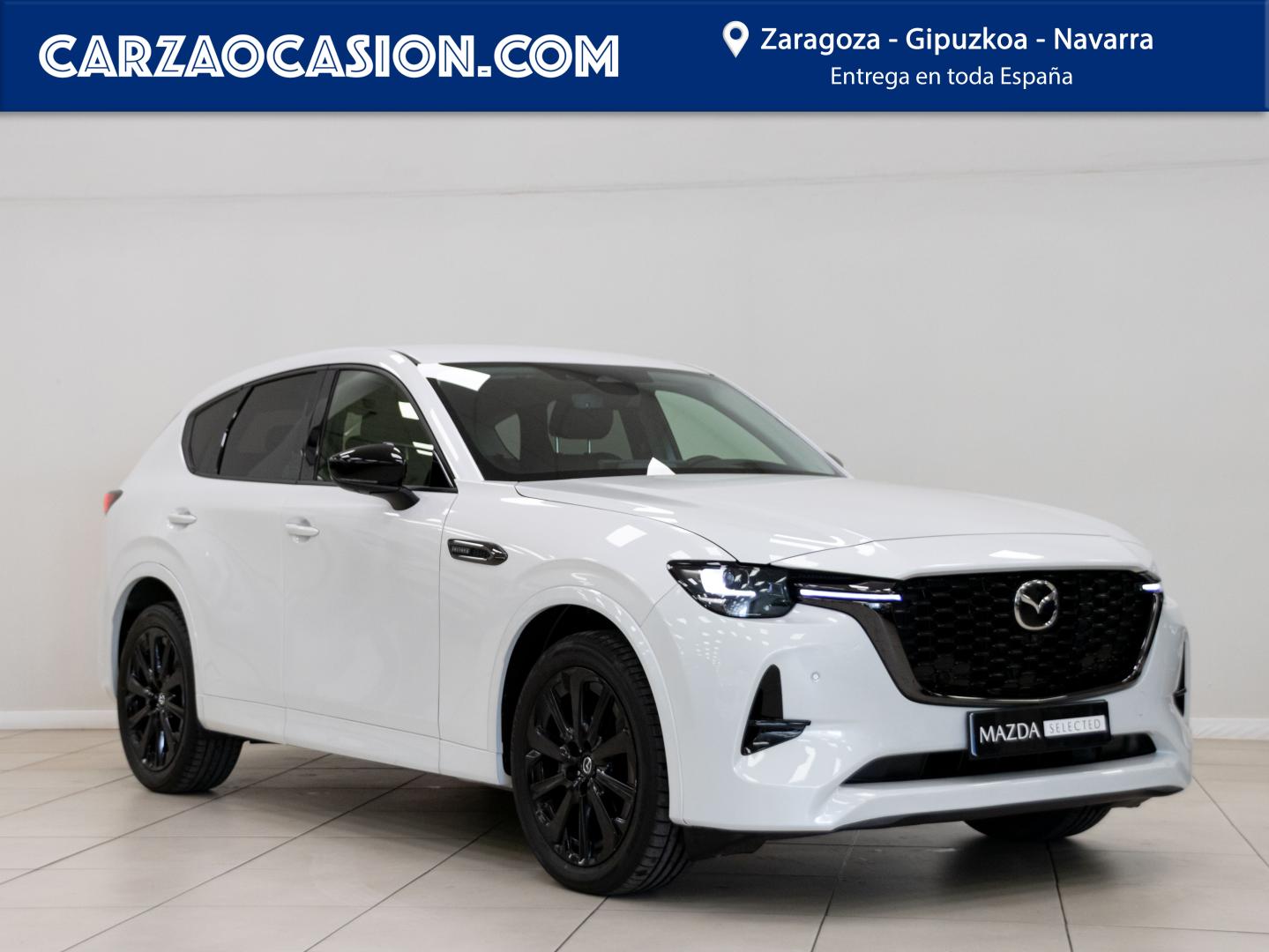 Peugeot Carza Gipuzkoa Motor