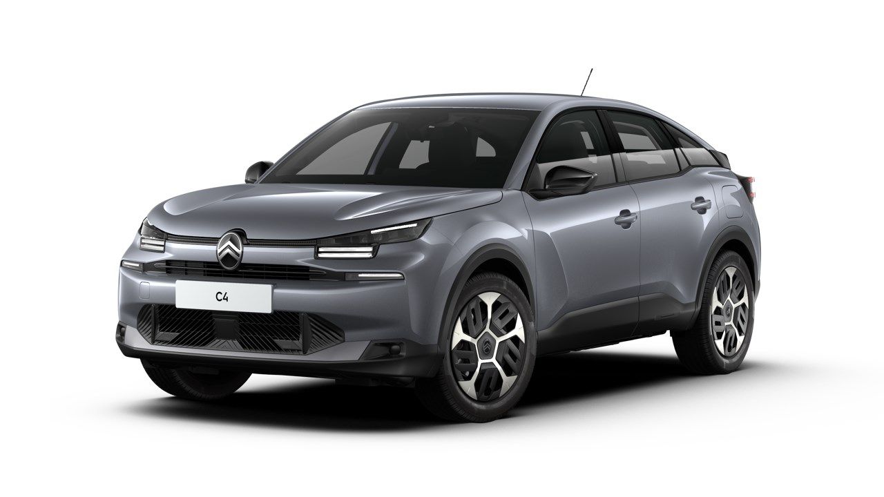 Fiat Alcoi - Grupo Palacios