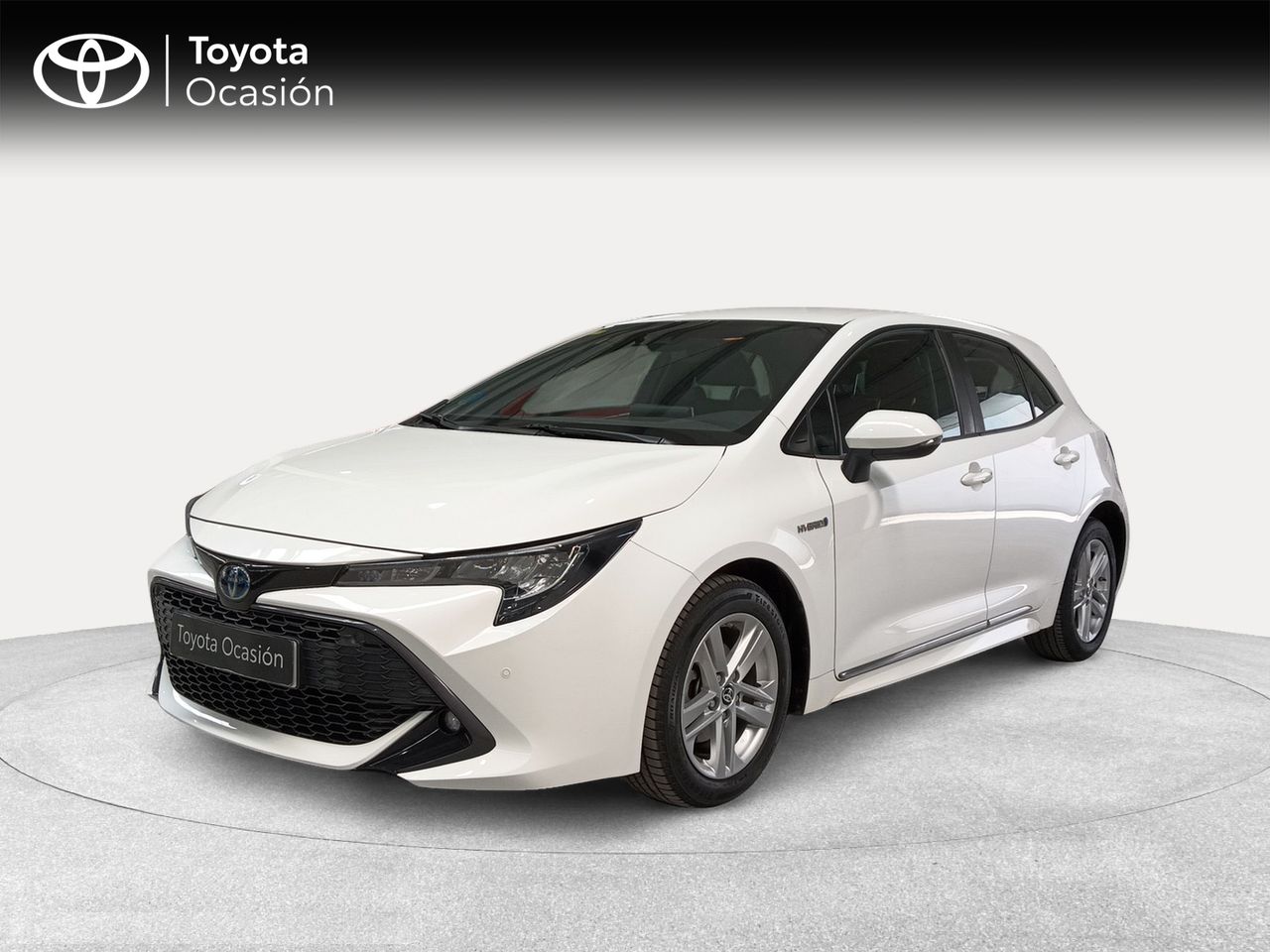 Torino Motor - Antequera