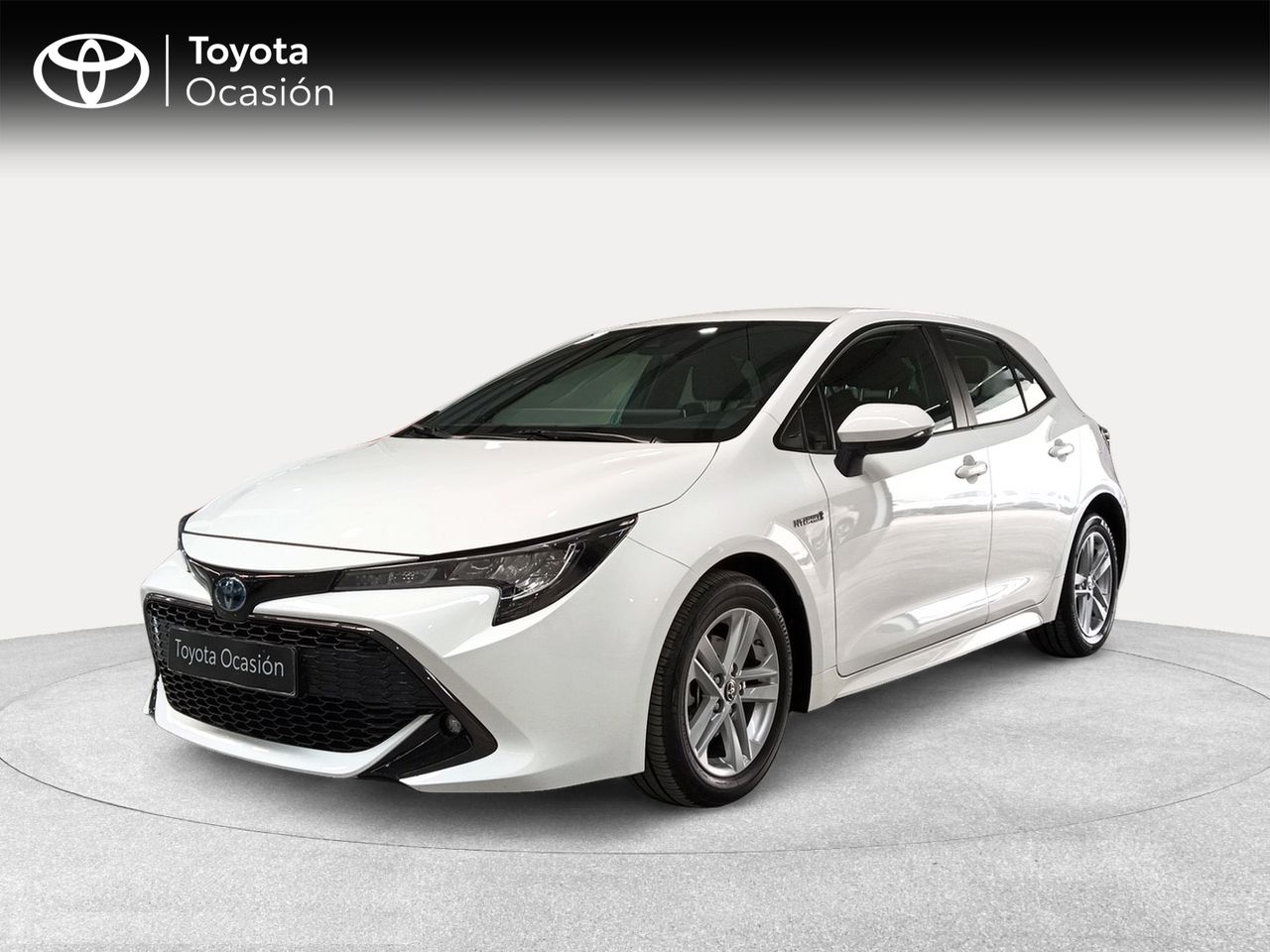 Torino Motor - Málaga