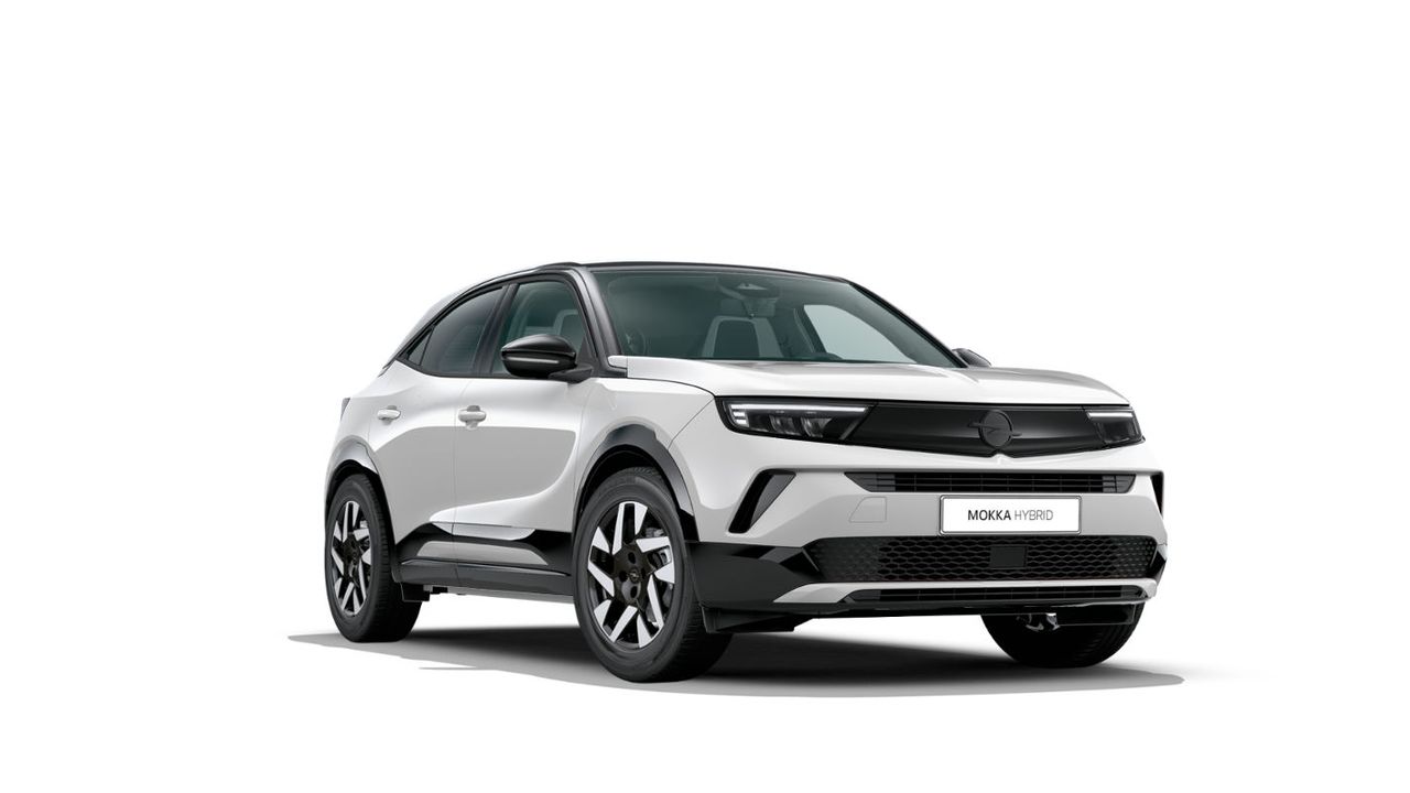 Opel Alcoi - Grupo Palacios