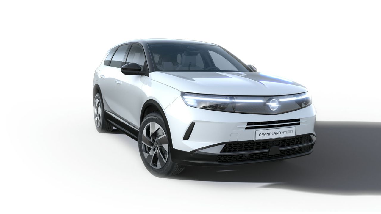 Fiat Xátiva - Grupo Palacios