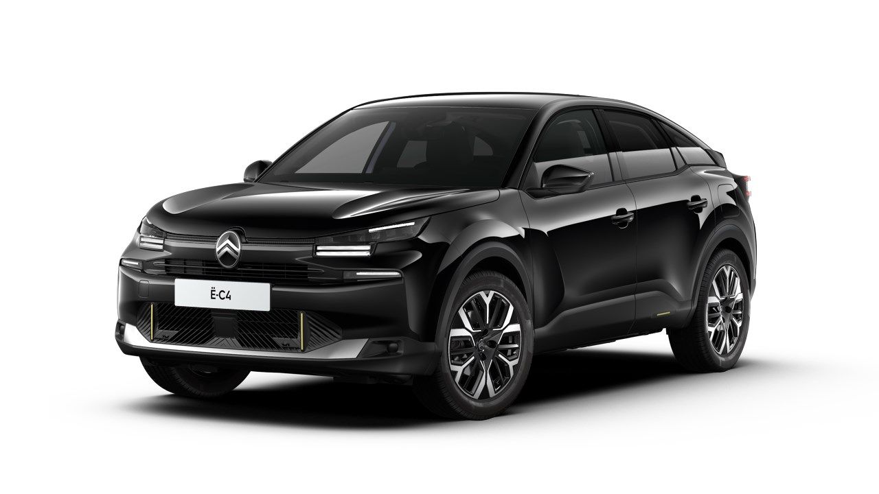Fiat Alcoi - Grupo Palacios