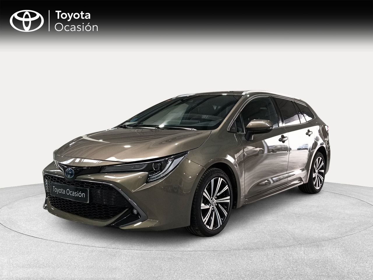 Lexus Málaga
