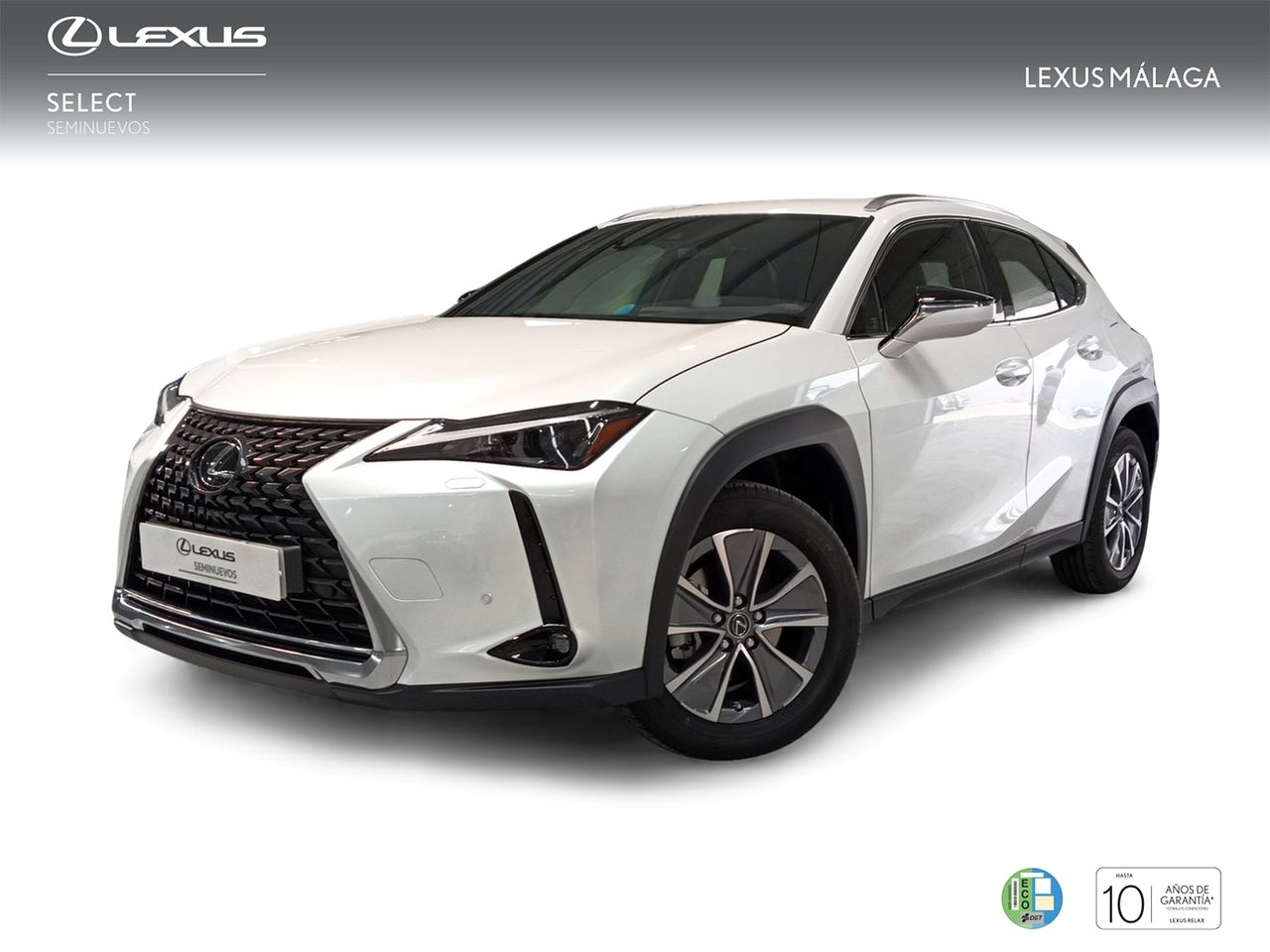 Lexus Marbella