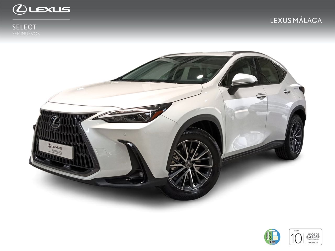 Lexus Marbella
