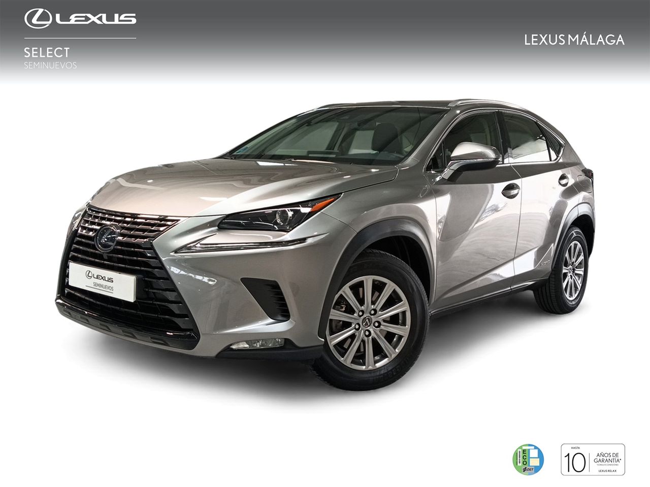 Toyota Cumaca Motor - Antequera