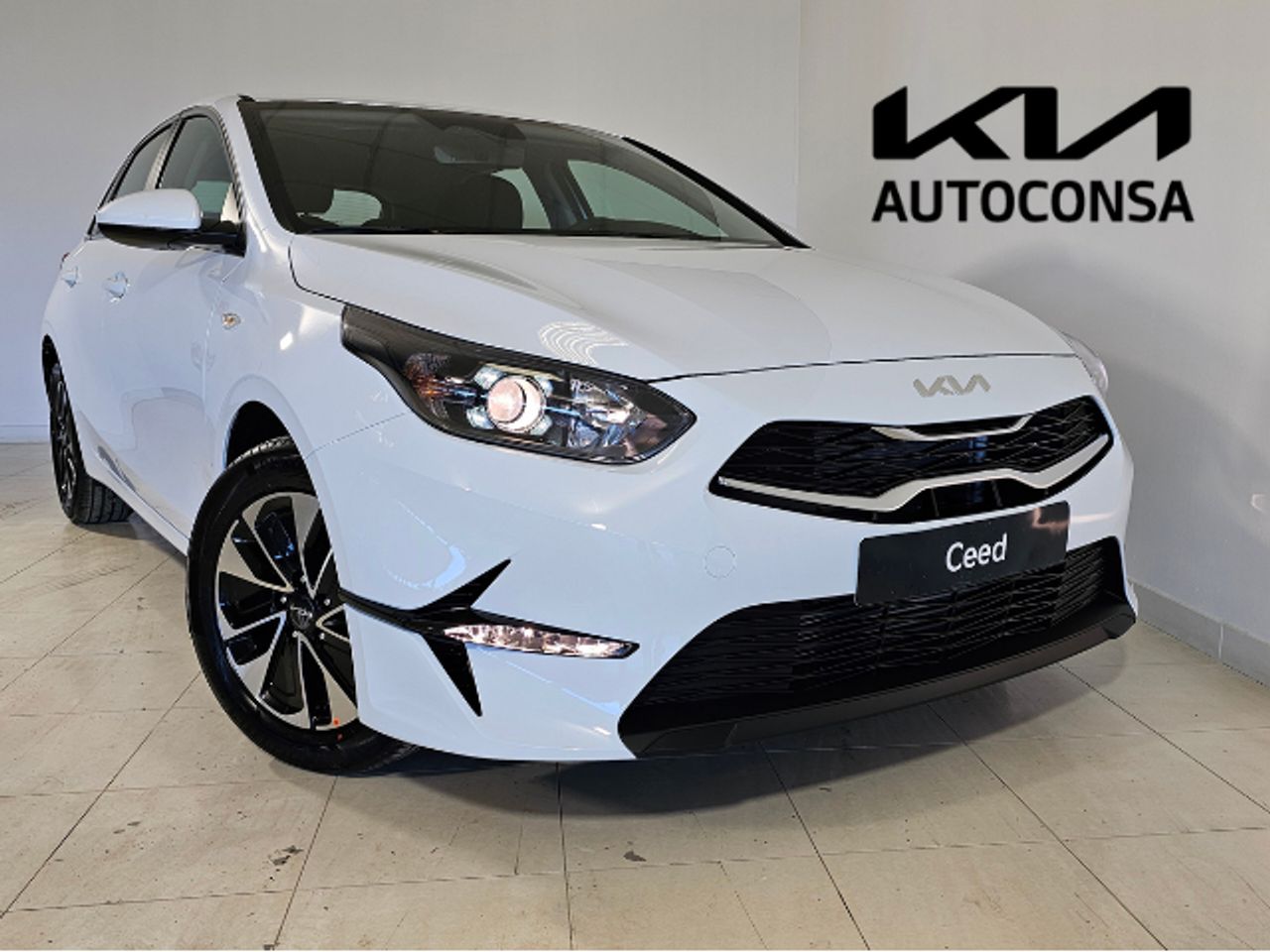MG LevMotor - Palencia