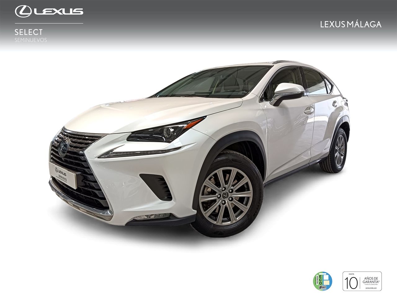 Lexus Marbella
