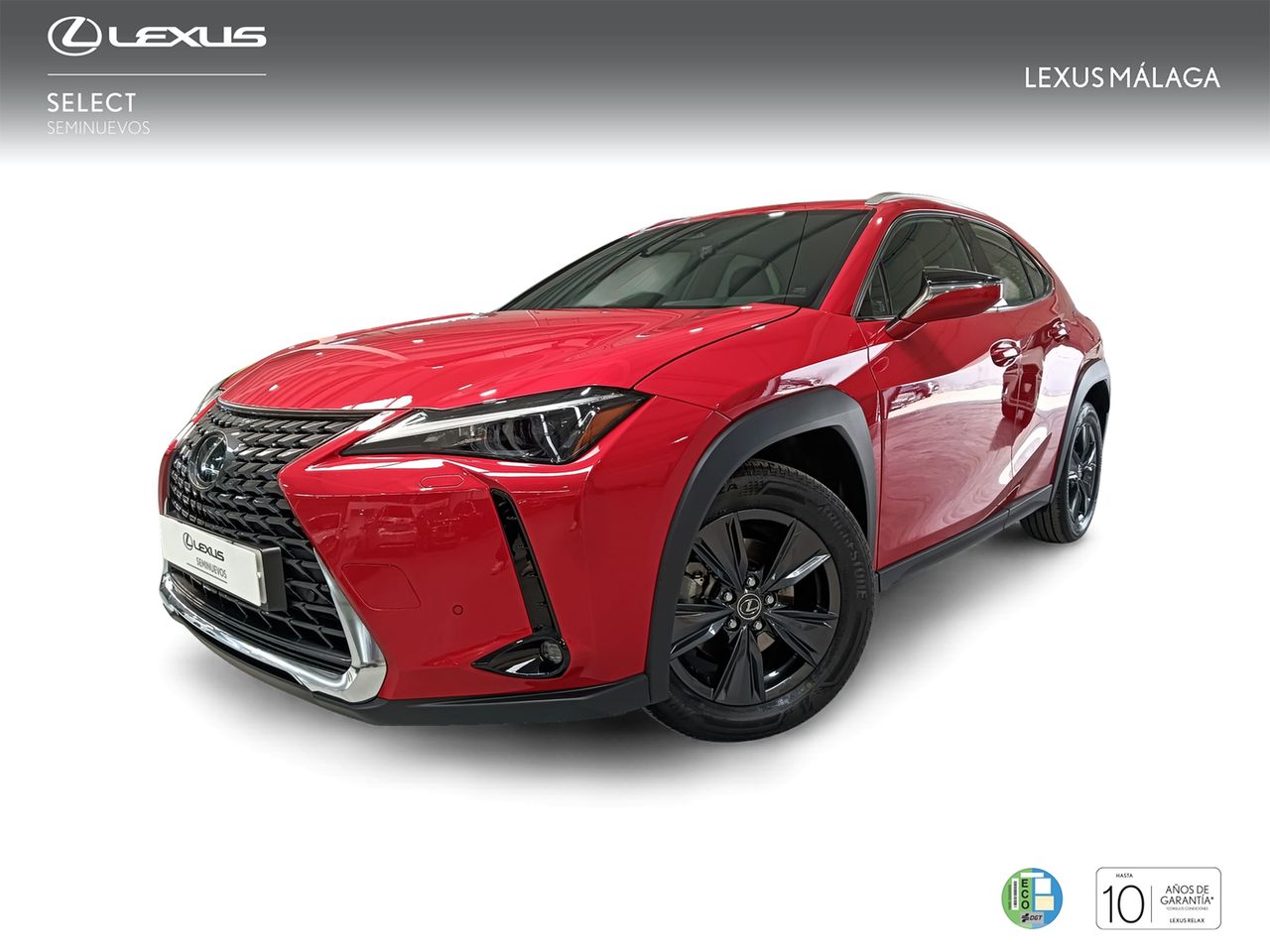 Lexus Málaga