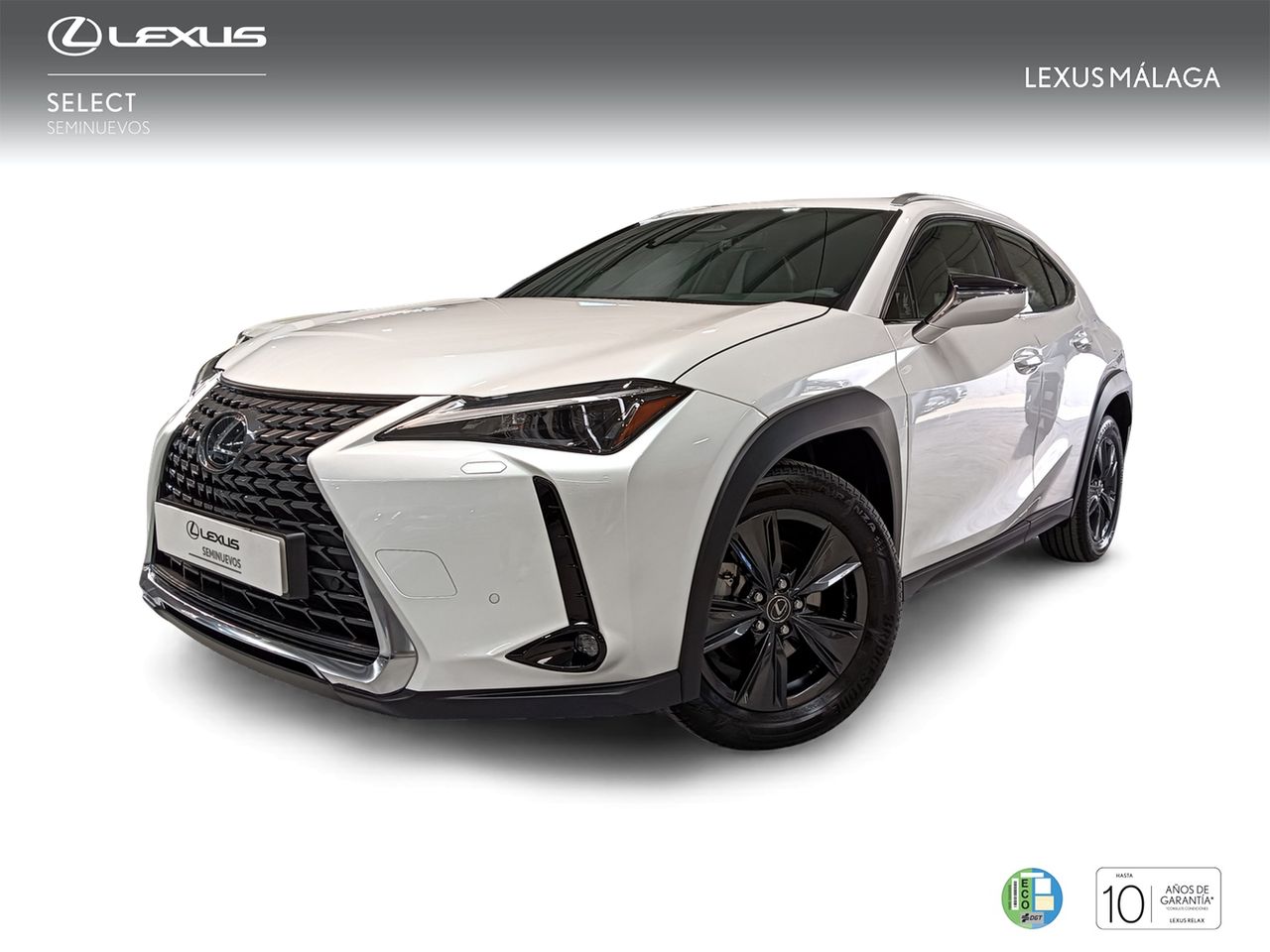 Lexus Málaga
