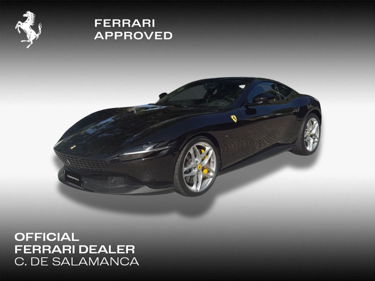 Ferrari Oficial Dealer - C. de Salamanca Marbella