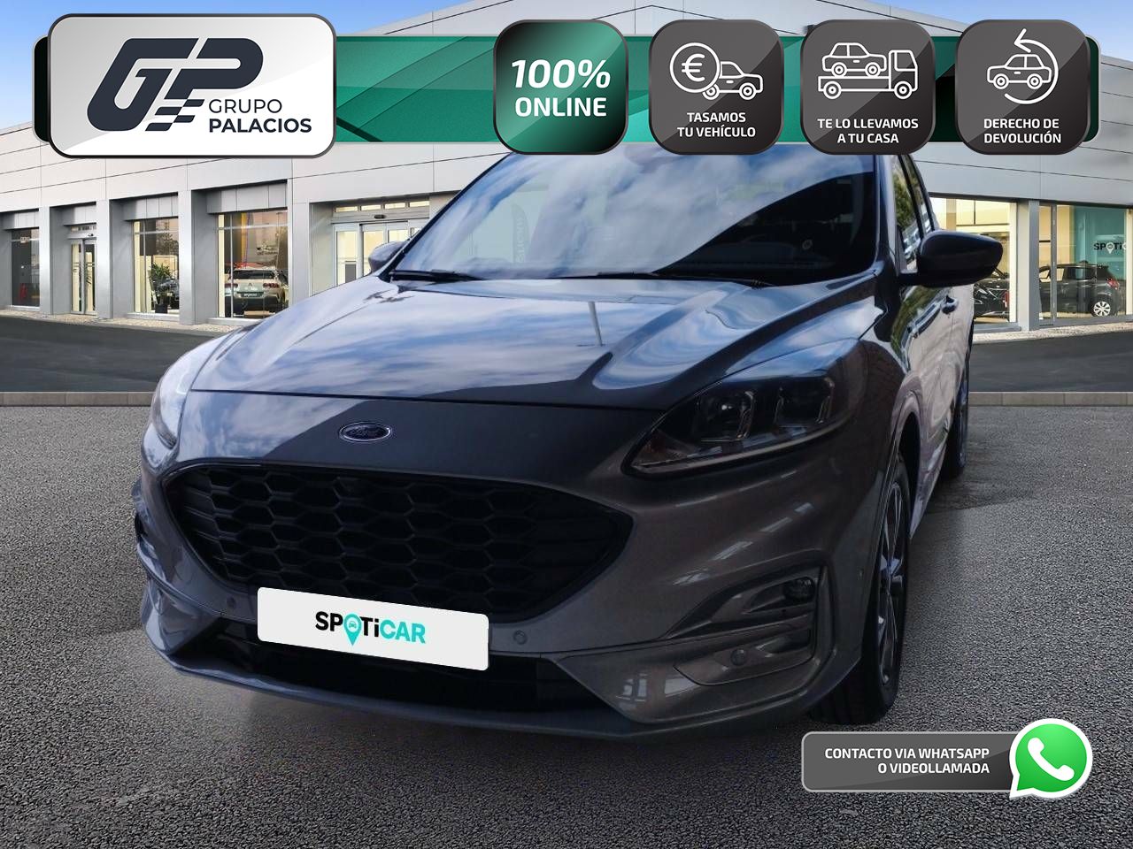 Fiat Alzira - Grupo Palacios
