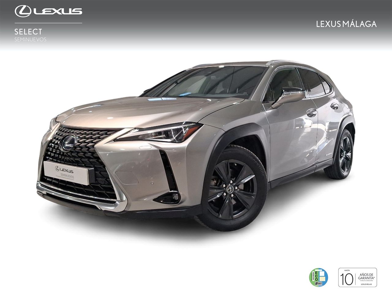 Lexus Marbella
