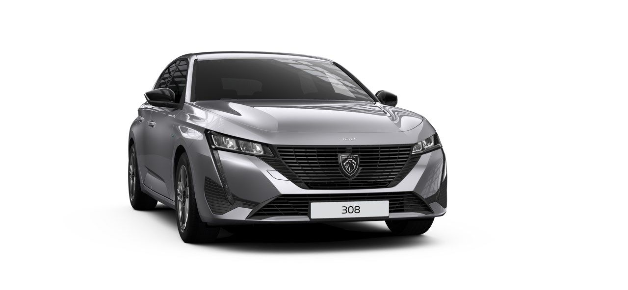 Peugeot Alcoi - Grupo Palacios