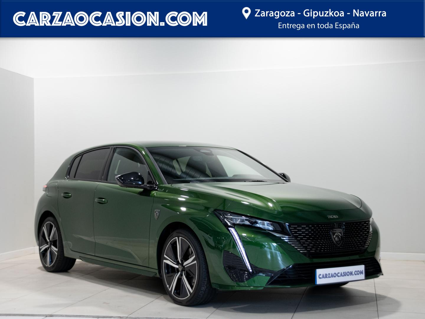 Carza Gipuzkoa Peugeot Taller