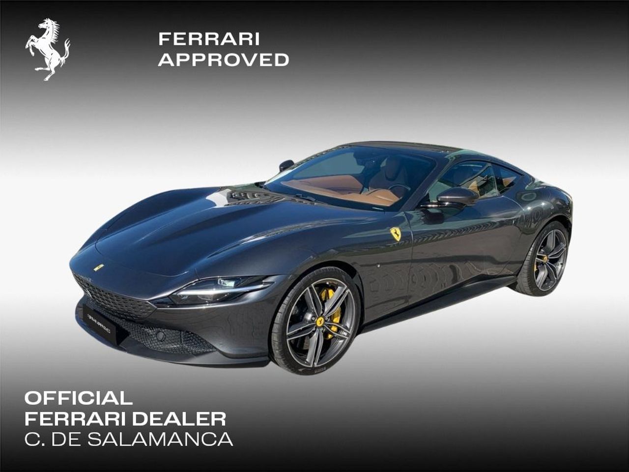 Ferrari Oficial Dealer - C. de Salamanca Marbella